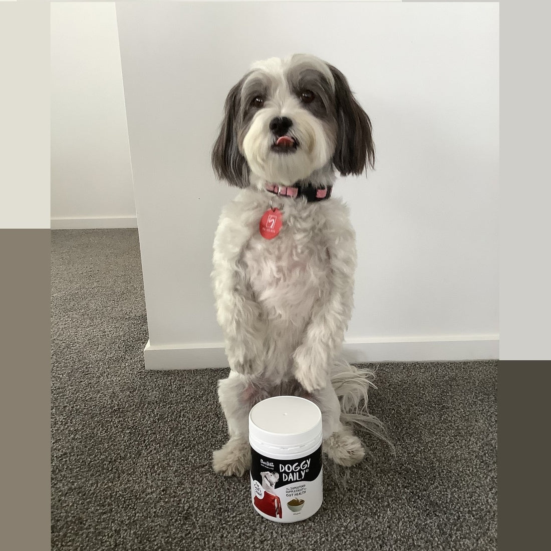 'Celeb' Endorsement - Snoop Dog! ;)