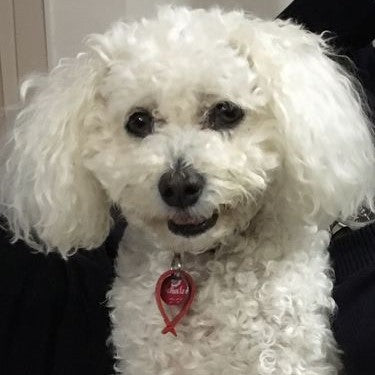 Schatze loves her Chew Ball