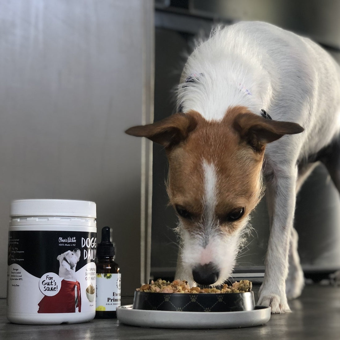 "Recommend for all Terrier owners to use!" - Jenny C.