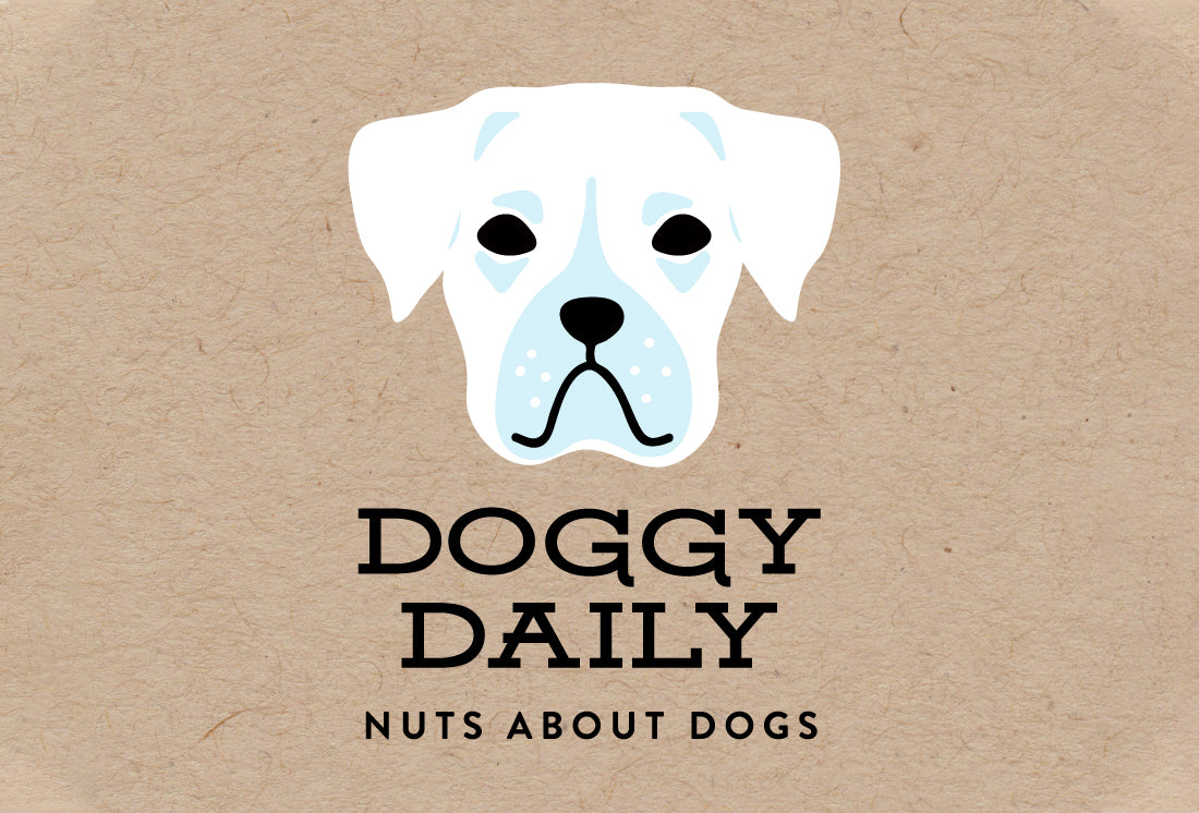 Doggy Daily
