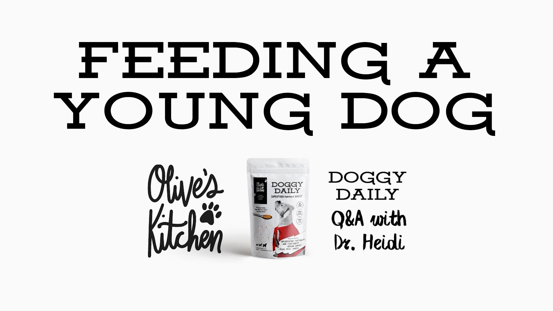 Feeding A Young Dog Olive's Kitchen