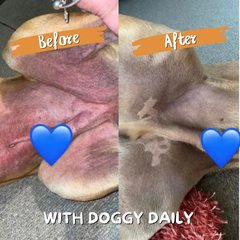 Doggy Daily Immunity Boost Supplement - 150g