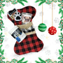 Doggy Daily Senior Stocking Bundle