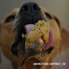 Pupnut Butter | Supercharged with Doggy Daily