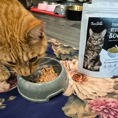 Extra Large Feeding Mat - Rectangle