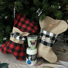 SENIOR CHRISTMAS PACK