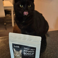 Moggy Daily Immunity Boost Supplement - 100g