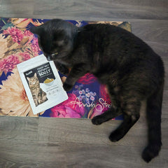 Moggy Daily Immunity Boost Supplement - 100g