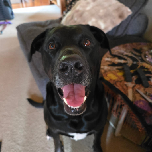 A massive improvement!