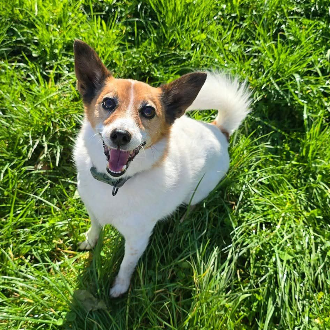 Happy feet and no hot spots!