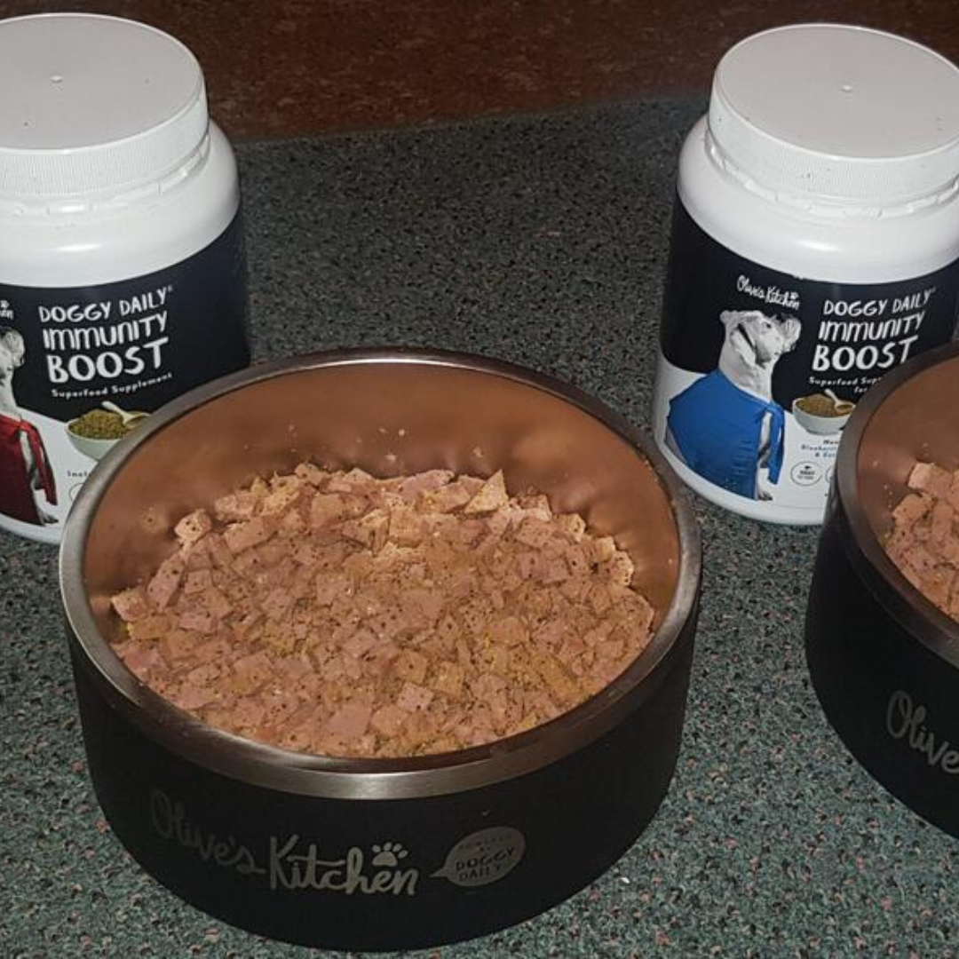WELL DESIGNED DOG BOWLS!