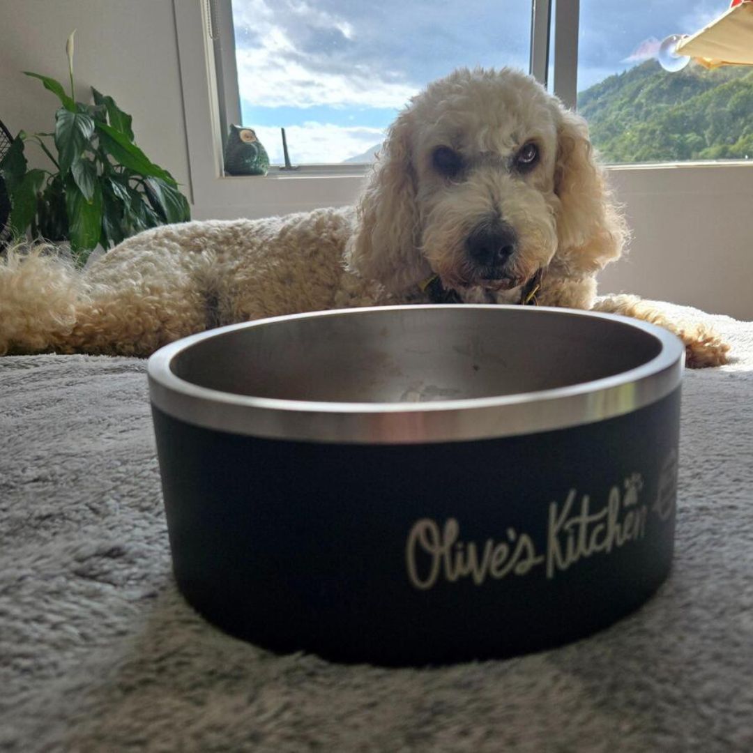 CANNOT FAULT THE DOG BOWLS