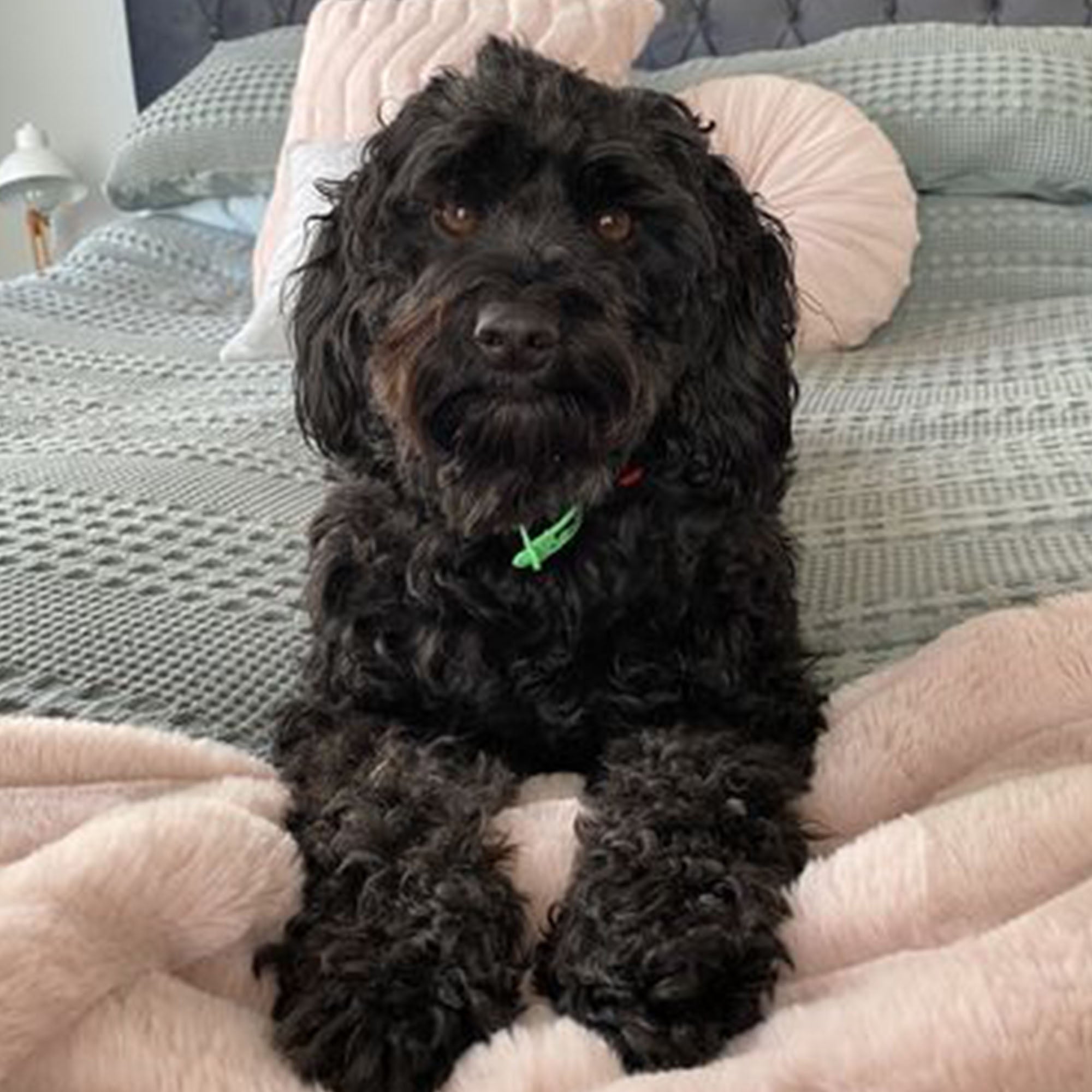 Great products! Olive's Kitchen