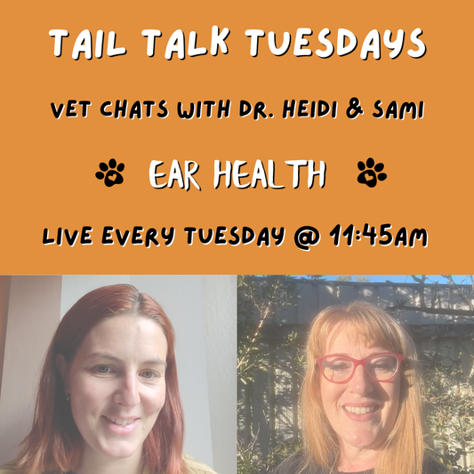 Dog Ear Health Explained | Full Vet Session with Dr Heidi