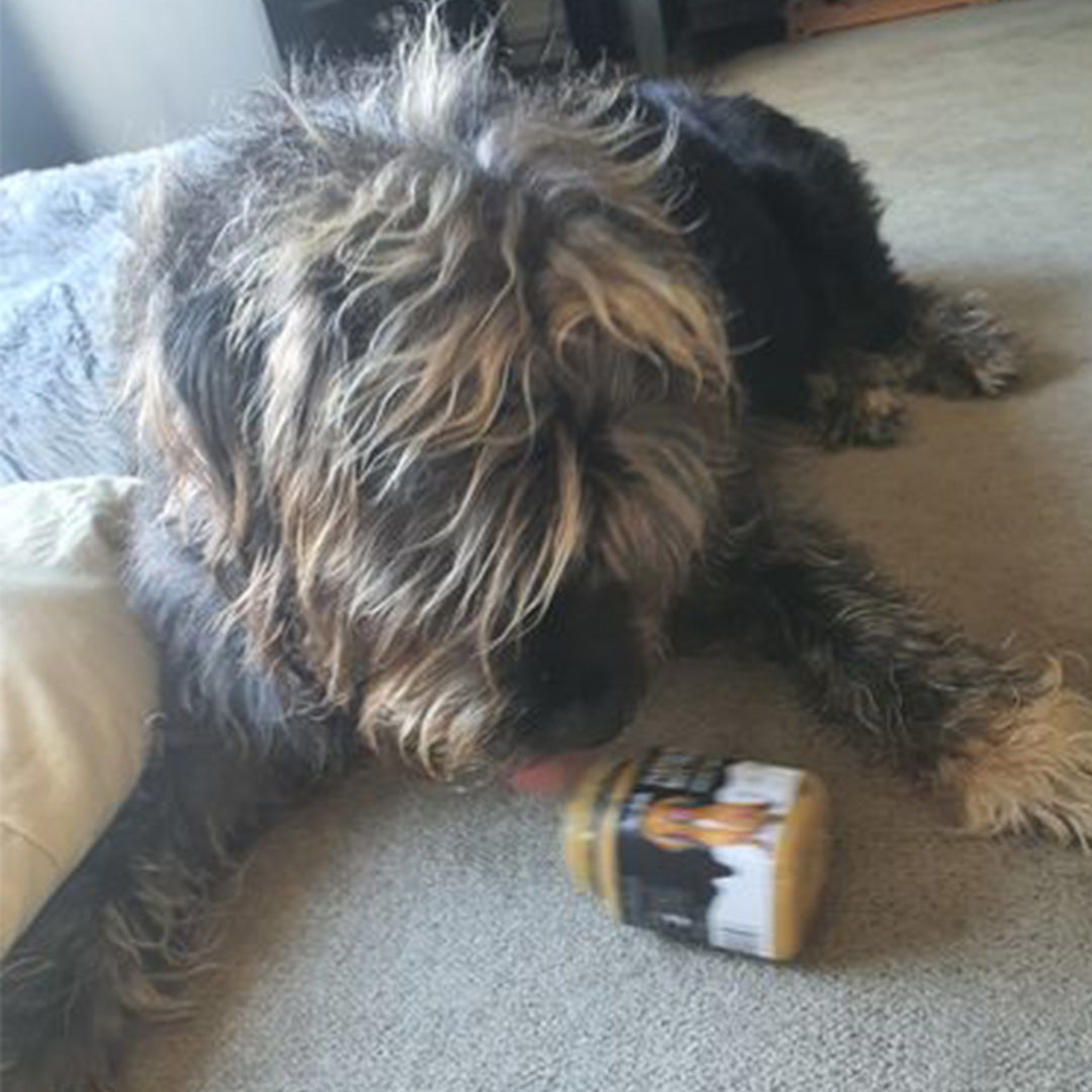 My girl Millie would eat the whole container of Pupnut at once if I let her