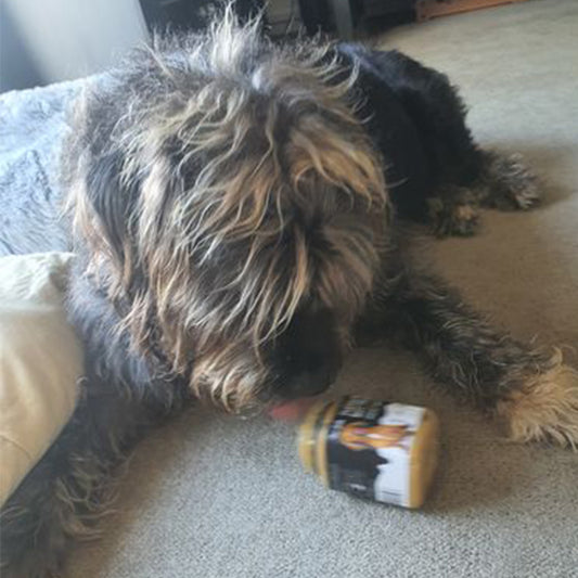 My girl Millie would eat the whole container of Pupnut at once if I let her