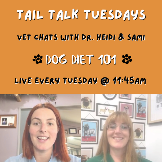 What Should You Really Be Feeding Your Dog? | Full Vet Session with Dr. Heidi
