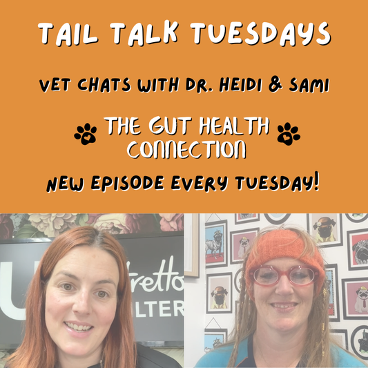 The Gut Health Connection | Full Vet Session with Dr Heidi