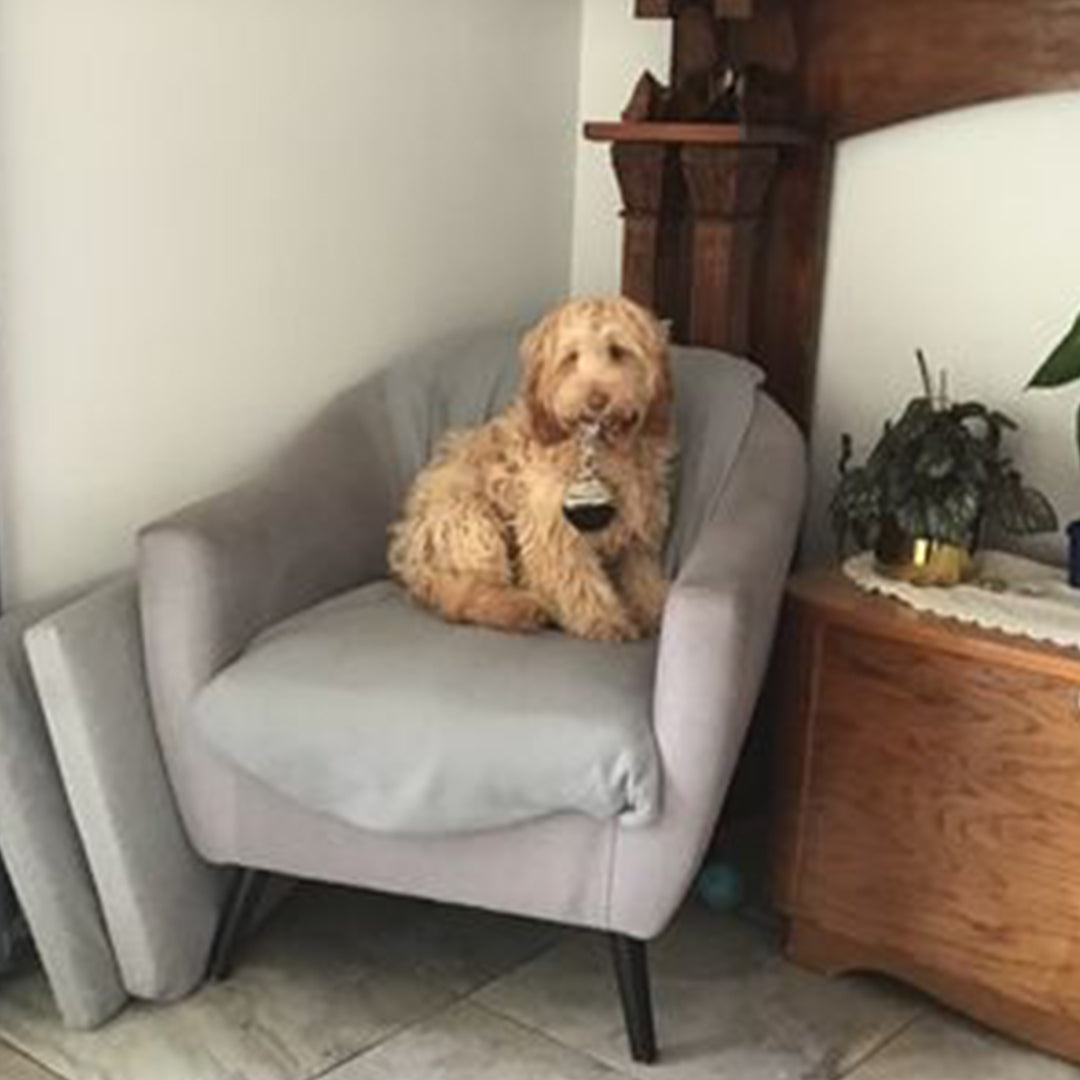He waits every morning for his treat