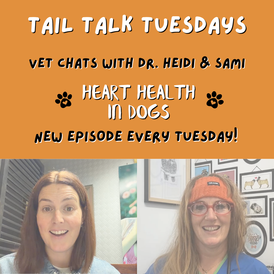 Signs of a Struggling Heart | Full Vet Session with Dr Heidi