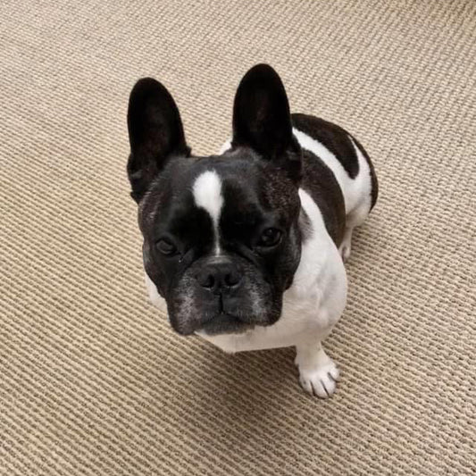 Bijoux