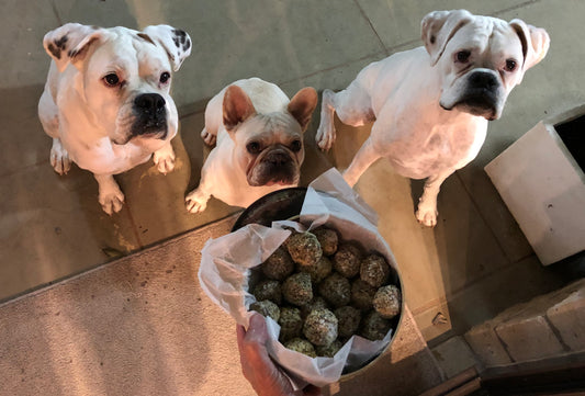 Doggy Daily Bliss Balls