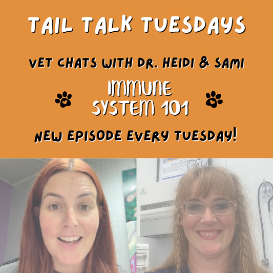 Immunity from the Inside Out | Full Vet Session with Dr Heidi