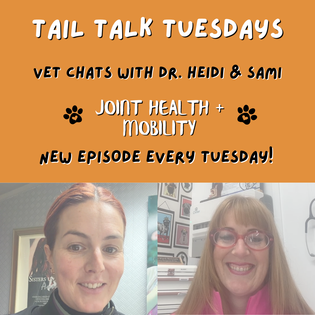 Joint Health & Mobility | Full Vet Session with Dr Heidi