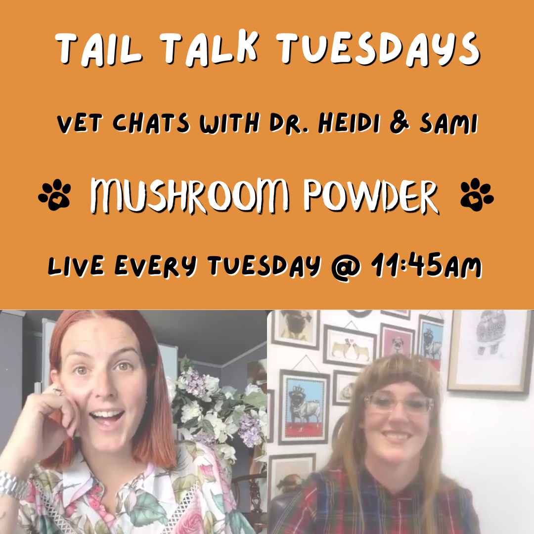 Discover the Benefits of Mushroom Powder for Dogs | Full Vet Session with Dr. Heidi