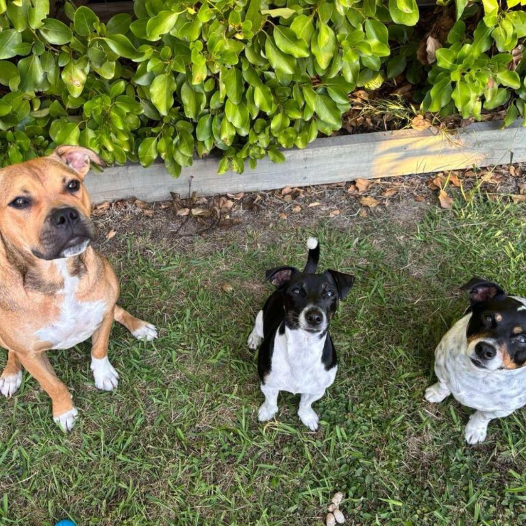 HAPPY TRIO