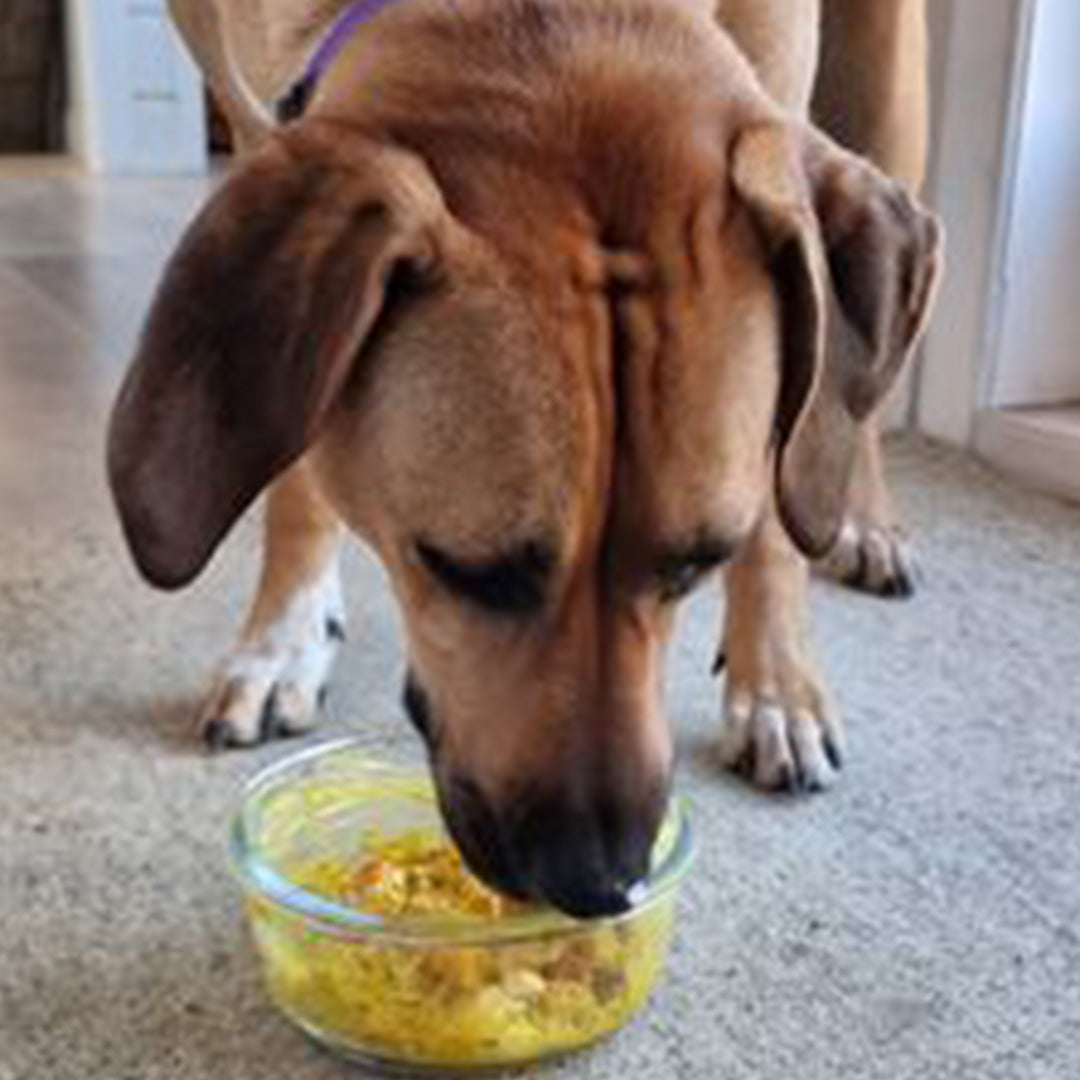 Loving the Golden Tumeric Paste! – Olive's Kitchen