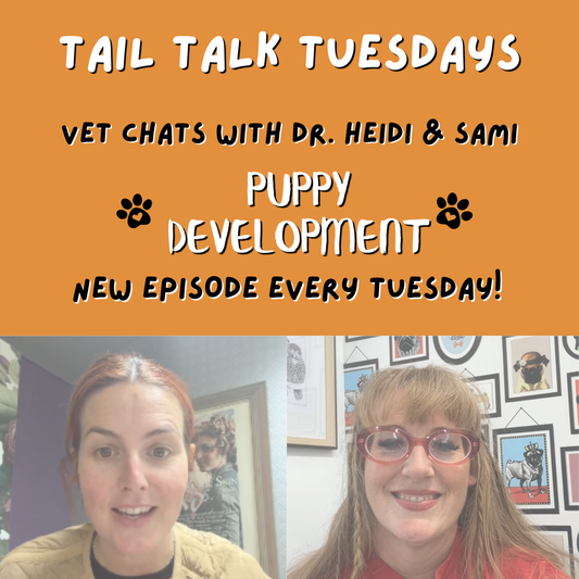 The First Year Matters | Full Vet Session with Dr Heidi