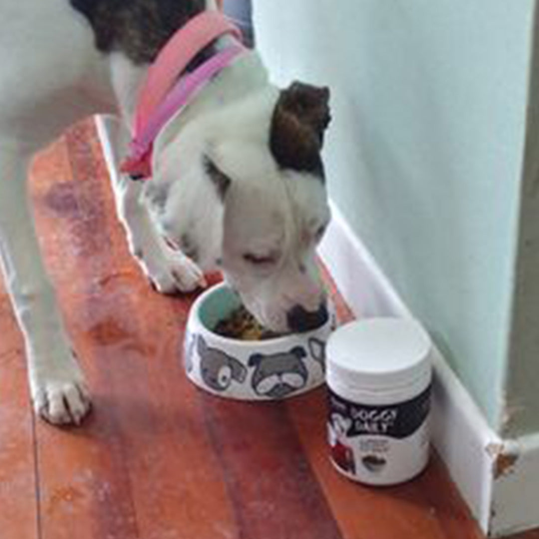 The dogs love the doggy daily