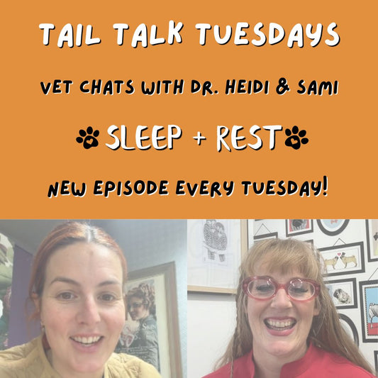 The Power of Rest | Full Vet Session with Dr Heidi