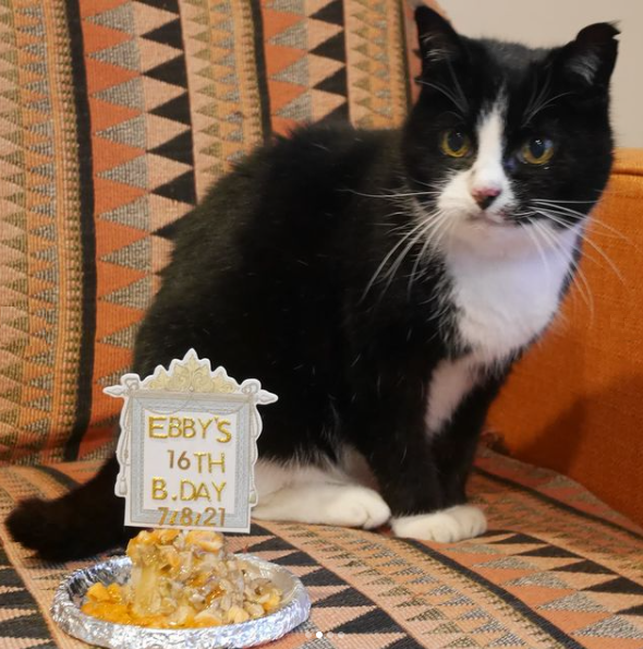 Ebby got her appetite back thanks to Moggy Daily