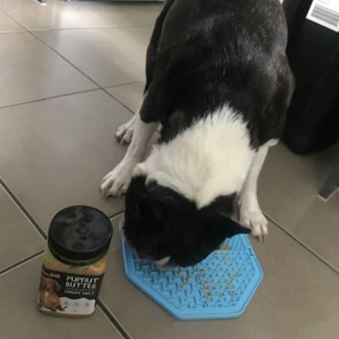 Loves his daily treat!