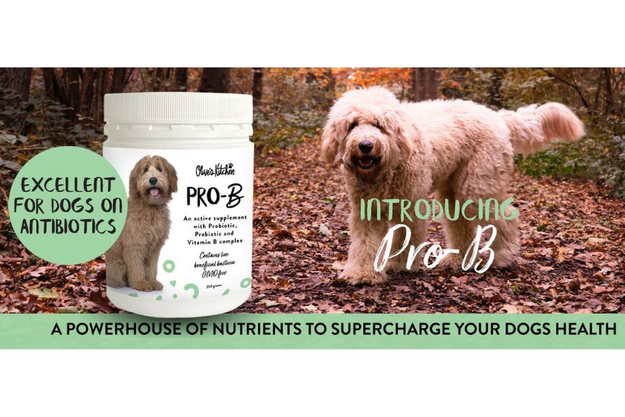 Introducing Pro-B by Olive's Kitchen