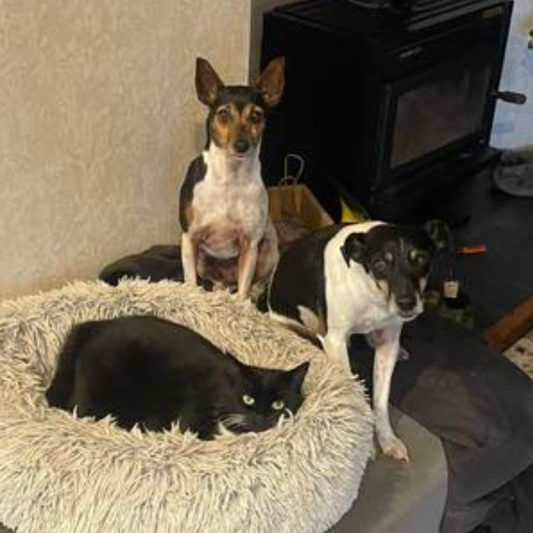 I rate this stuff 👍