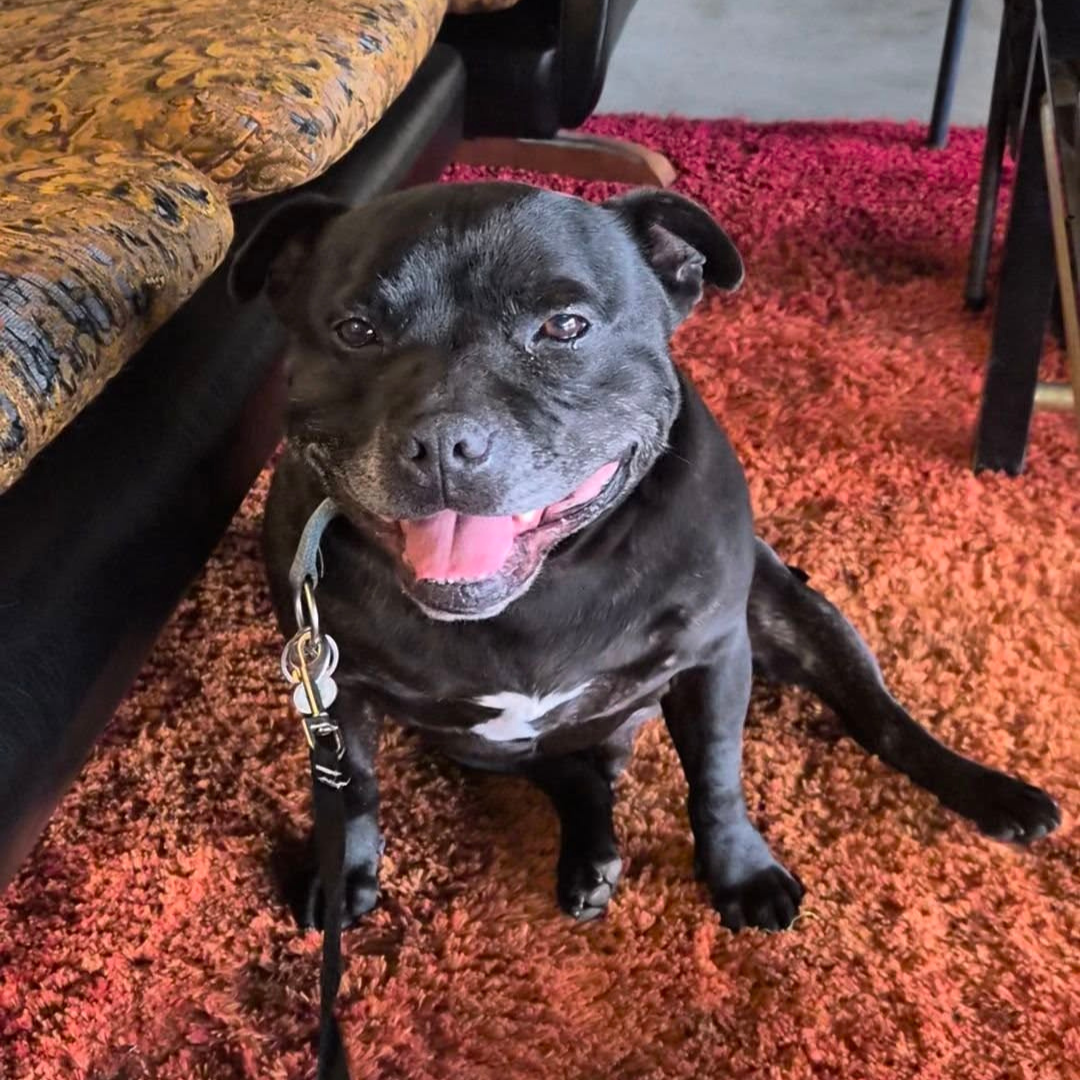 Shines bright like a diamond! 💎