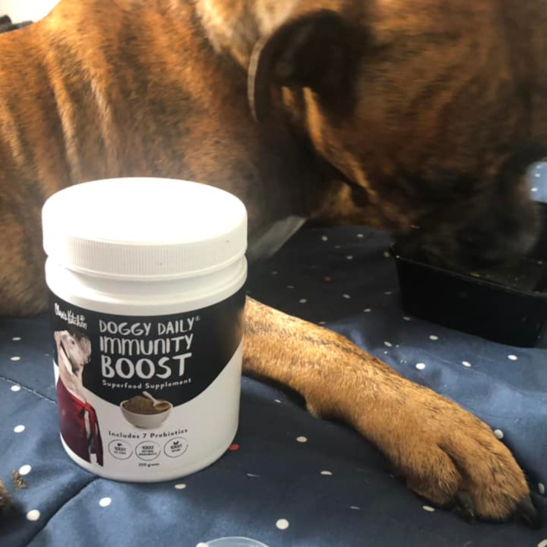 My dog is a fussy eater and loves it!