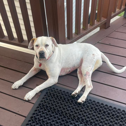 Her skin calmed down quickly!