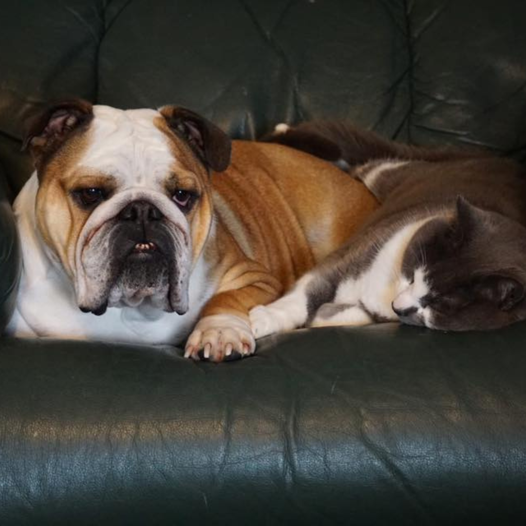 She's back to her old self! 🧡