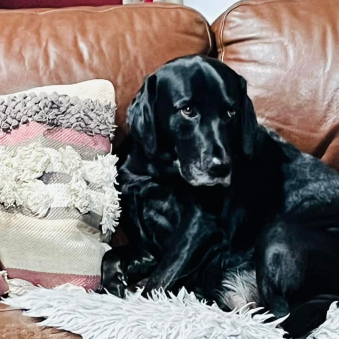 She hasn't itched all day!