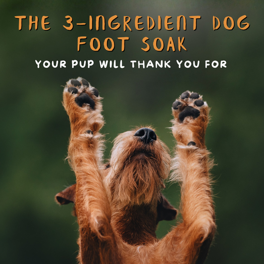 Dr Heidi's Secret Soak For Dogs with Itchy Paws
