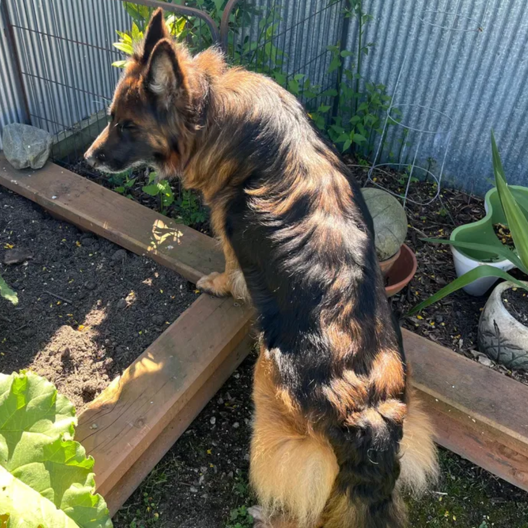 It has everything she needs and she loves it!