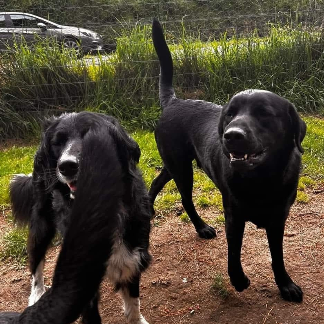 My gorgeous boys are doing SO well! ❤️💜🩵