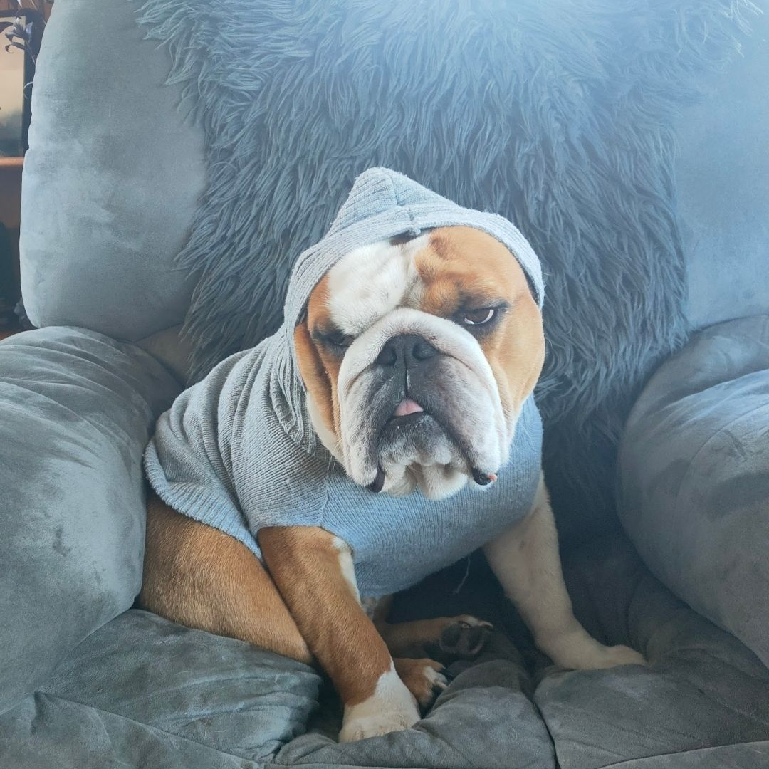 Skin has never been so good!