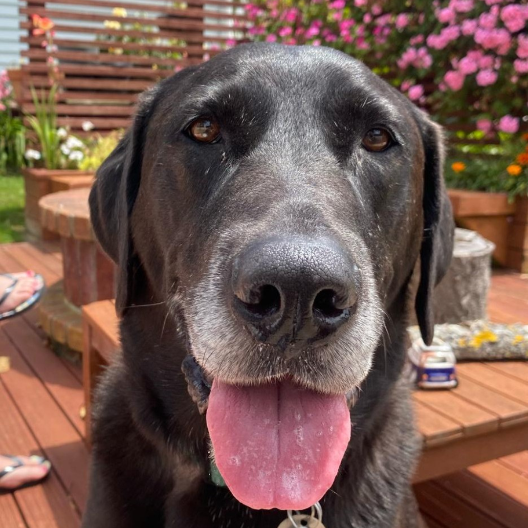 Really love this stuff!