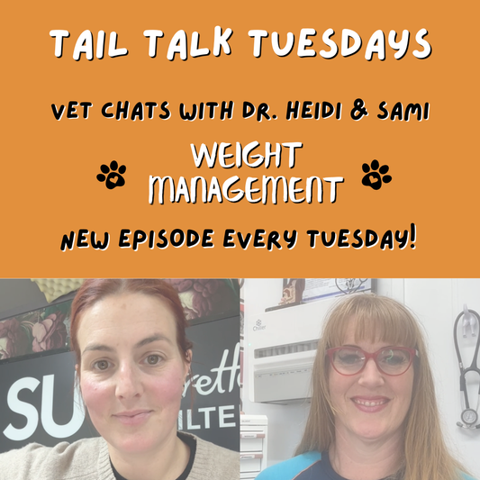 Weight Management & Metabolism | Full Vet Session with Dr Heidi