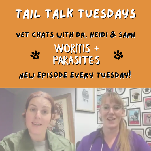 Worms, Parasites & the Poo Test | Full Vet Session with Dr Heidi